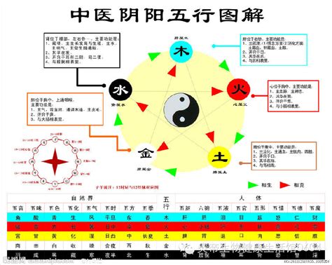 五行概念|五行相生相剋:五行,四季五行,相生相剋,概念對應,五行。